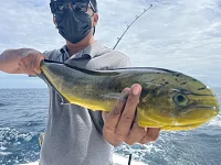  Overnight 2 days | Catcher
