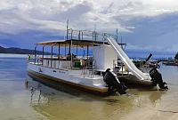  Night fishing tour (5h - 7 to 12pm) | Mademoiselle