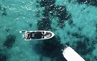  Koh Haa (8h) | Animo
