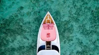  Phi Phi Islands (8h) | Speedboat Pink Dolphin