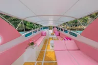  Phi Phi Islands (8h) | Speedboat Pink Dolphin