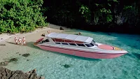 Speedboat Pink Dolphin — 41ft Custom Build Charter Krabi