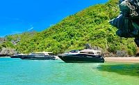 Khanom Pink Dolphin Watching (8h) | Ocean Flea