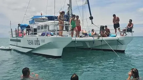 Afternoon trip (4 hrs)